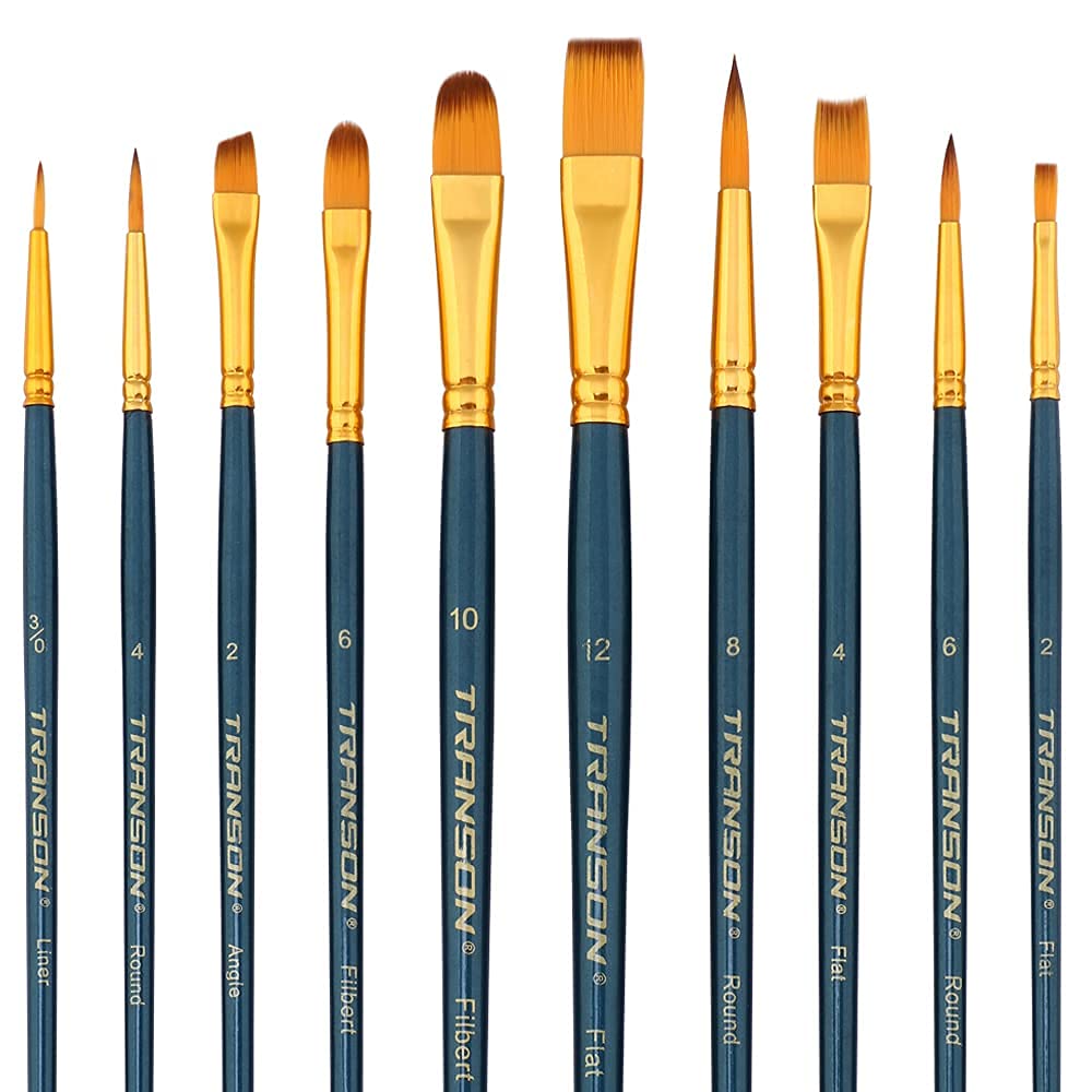 Transon 20-Piece Bulk Artist Paint Brush Set - Professional Quality Brushes for Acrylic, Watercolor, Gouache Painting - Perfect for Hobby, Craft, Face & Rock Painting - Ideal for Beginners & Professional Artists