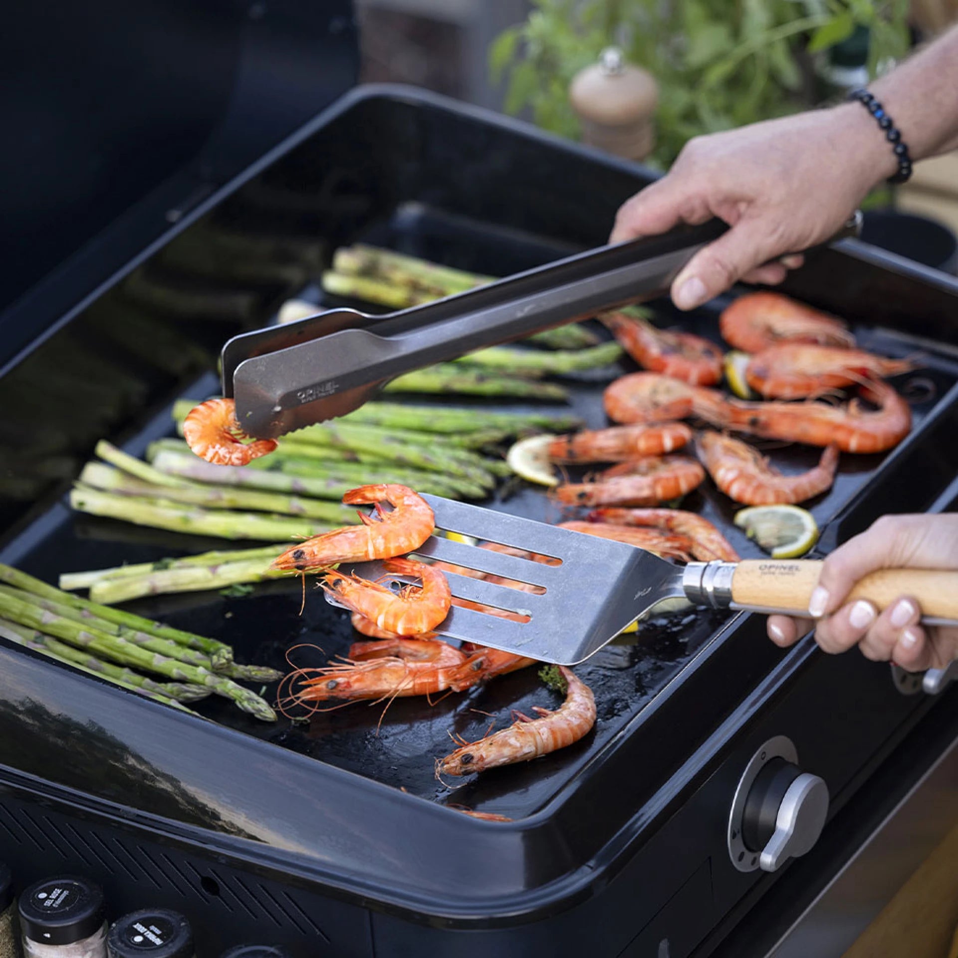 Premium Opinel Barbecue Set - High-Quality Stainless Steel Knives & Tools for Outdoor Grilling - Perfect for Camping, Picnics, and Backyard BBQs