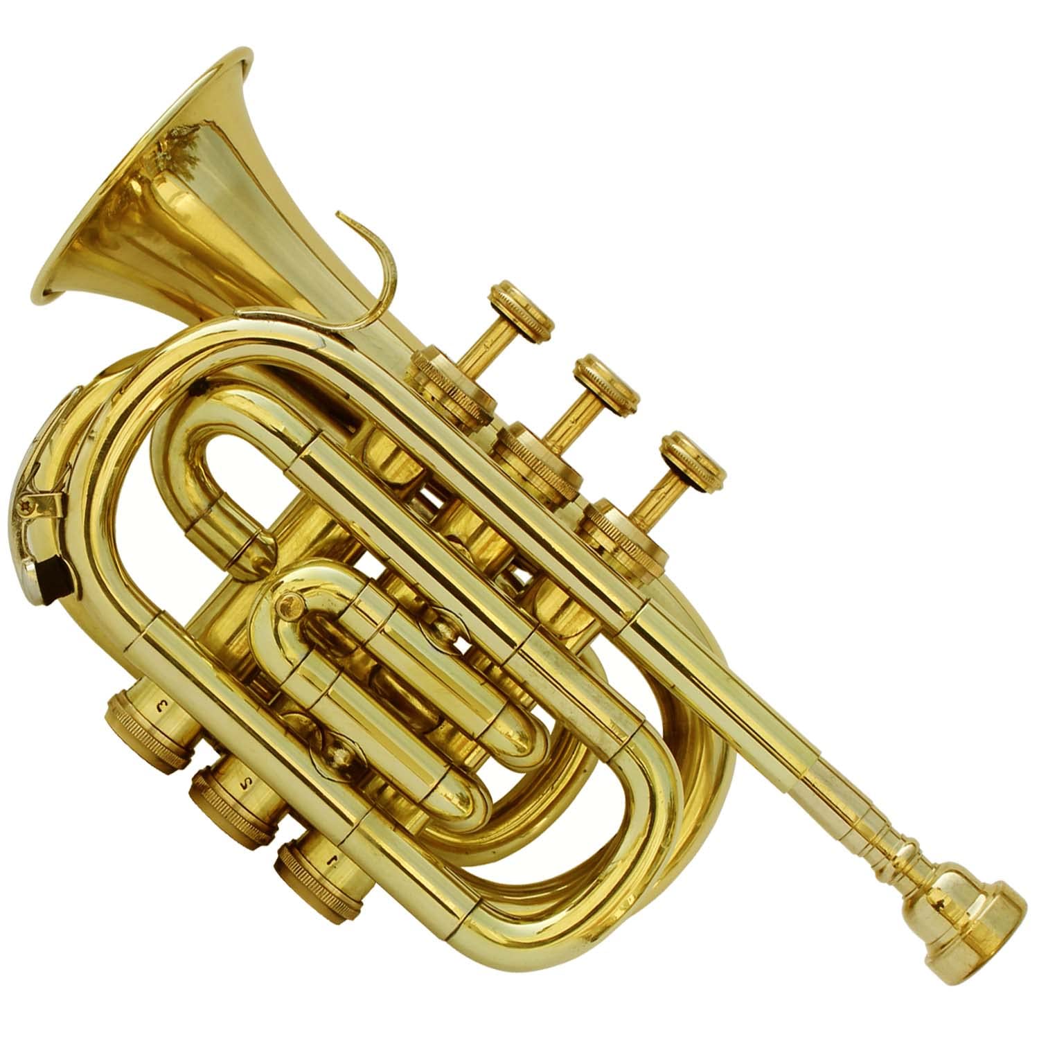 Professional Bb Pocket Trumpet Brass Instrument with Free Hard Case & Mouthpiece - Perfect for Beginners, Travel & Practice | Best Musical Gift for Students & Jazz Enthusiasts