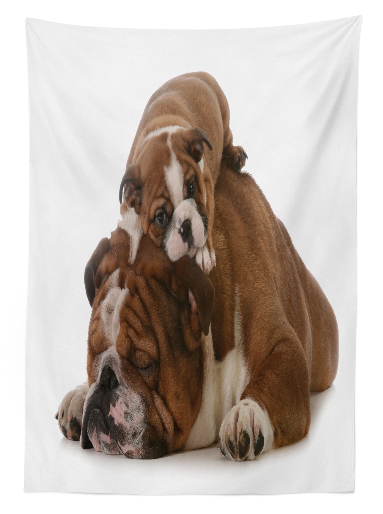 Ambesonne English Bulldog Fathers Day Tablecloth - Washable Picnic Table Cover with Father & Son Bulldogs Design - 58