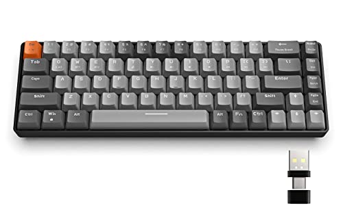 Light Grey/Red Switch