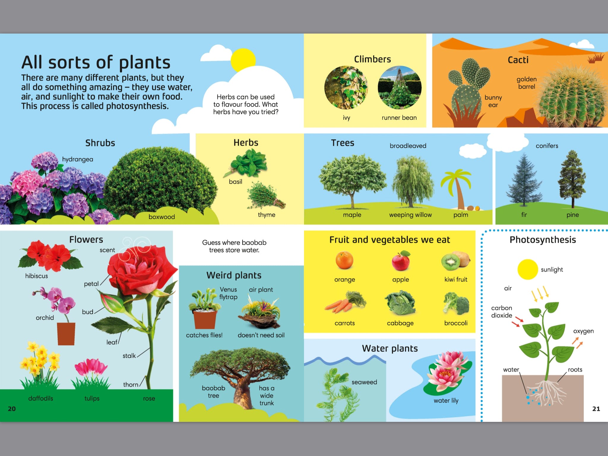 1000 Nature Words Book - Build Vocabulary & Literacy Skills for Kids - Perfect for Homeschooling & Classroom Learning
