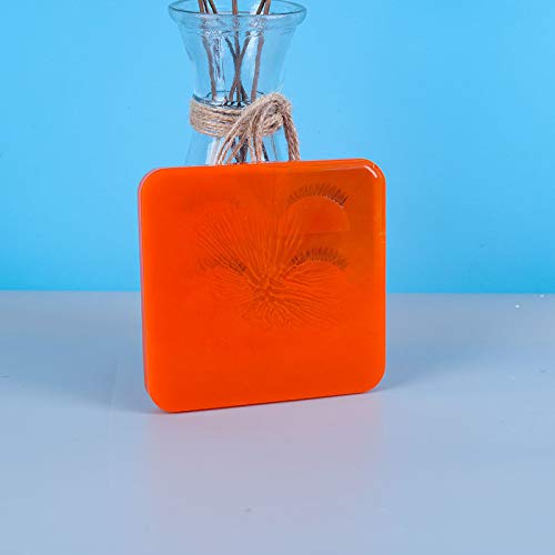 Premium False Eyelash Holder & Resin Casting Mold Set - DIY Eyelash Display Tray with Lid for Epoxy Resin Crafts - Perfect for Salon, Makeup Artists & DIY Beauty Projects