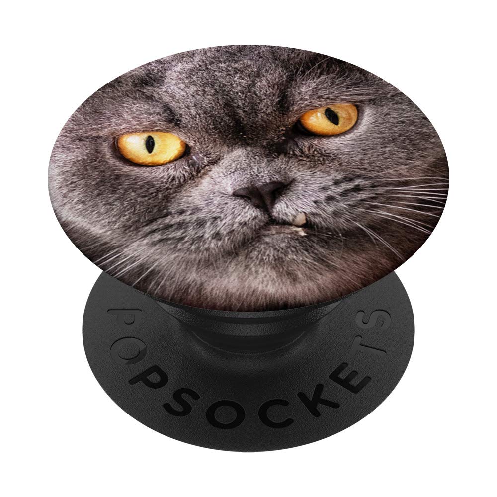 KITTY CAT PopSockets Phone Grip & Stand - Expandable Phone Holder for iPhone, Samsung, Tablets - Perfect for Work, Travel & Selfies