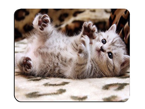 Non-Slip Rubber Mouse Pad with Naughty Cat Design - Rectangle Office Desk Accessory for Computer & Laptop - Perfect for Gaming, Work & Home Decor