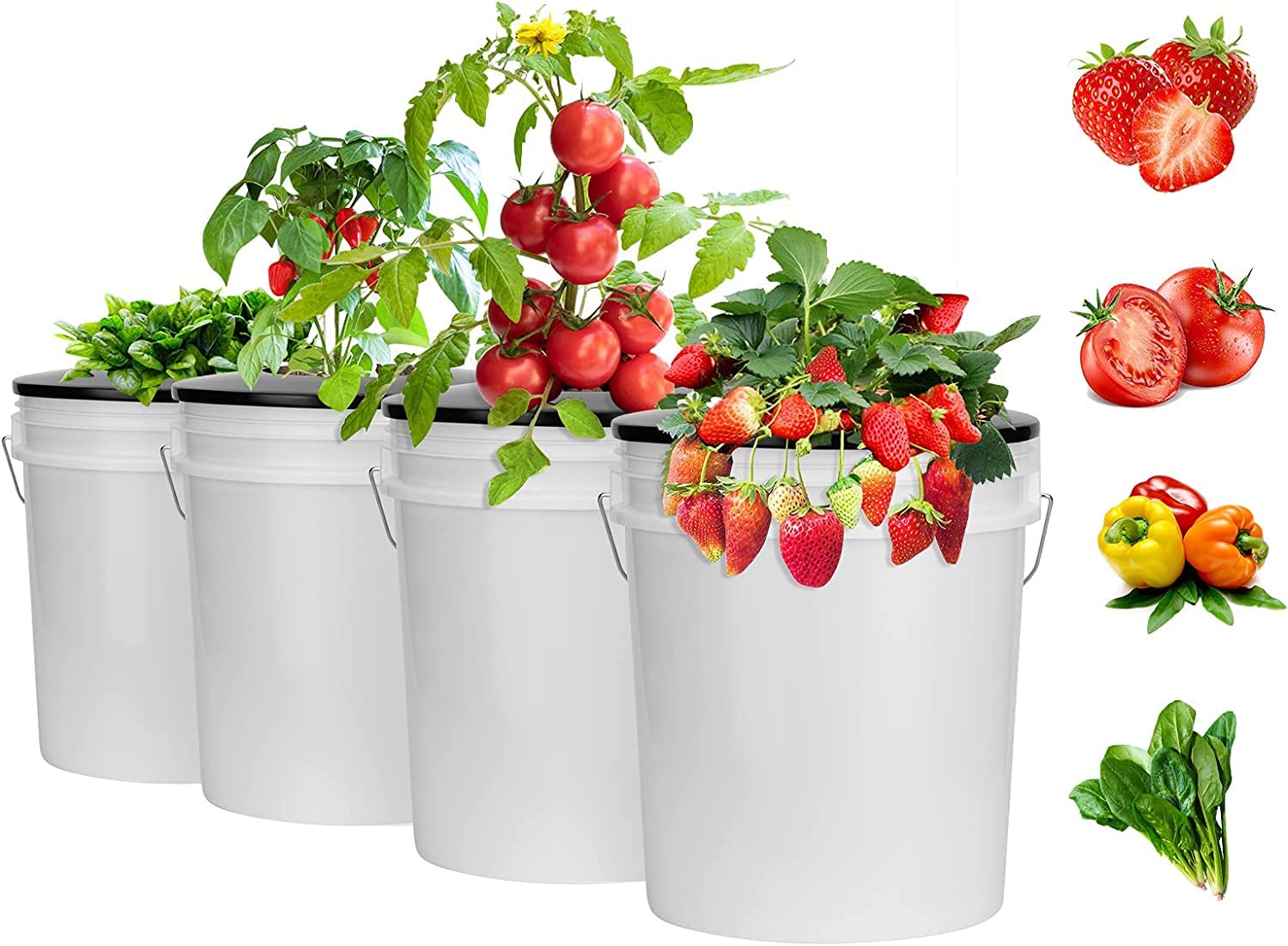5 Pack 6 Inch Net Pots for Hydroponics - Wide Lip Bucket Basket for Hydroponic & DWC Bucket Systems | Perfect for Indoor Gardening, Hydroponic Vegetables, and Herb Growing