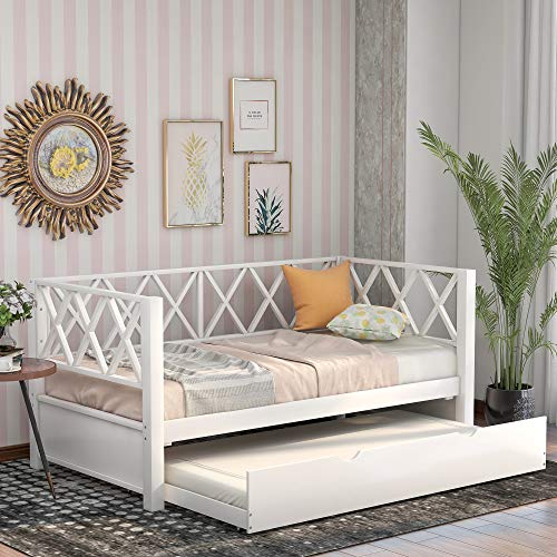White + Standard