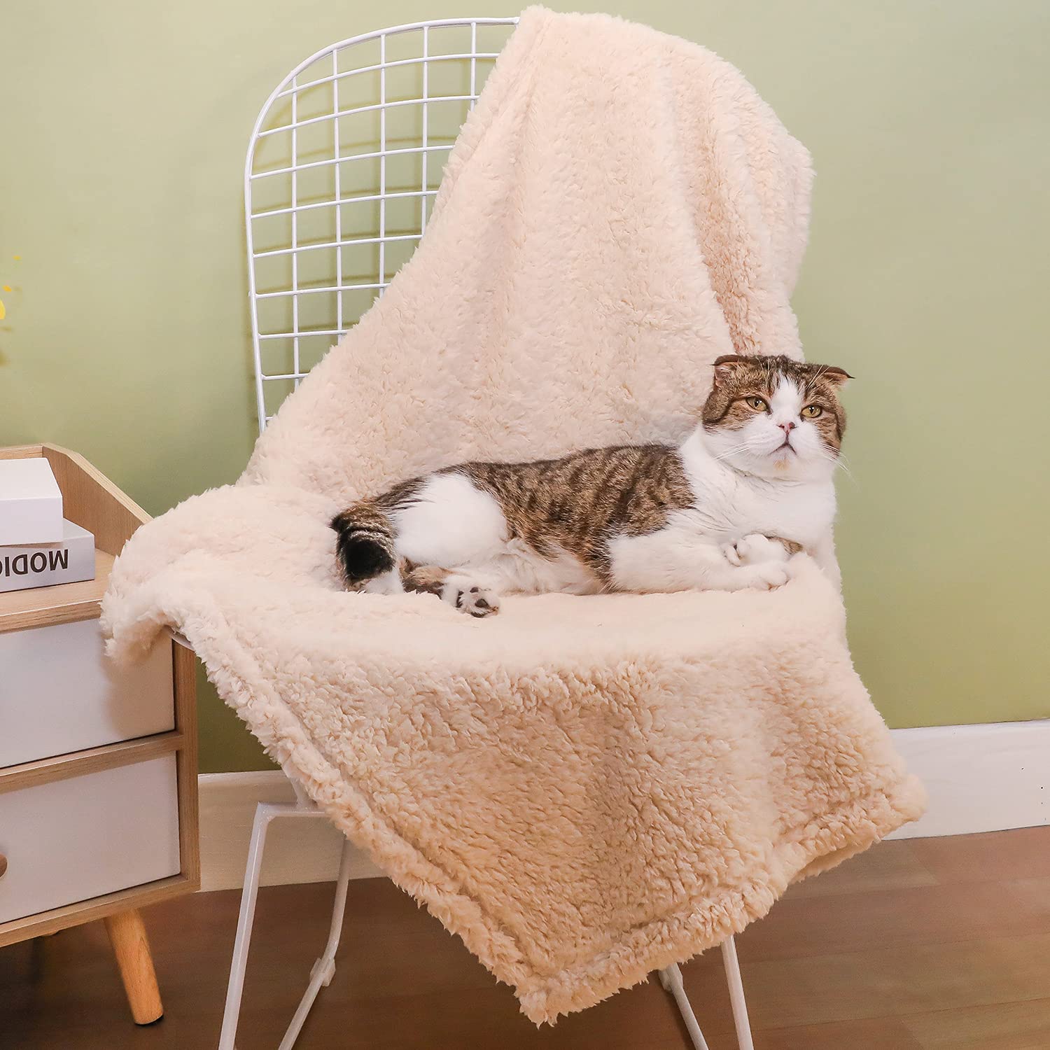 2 Pack Soft Sherpa Fleece Pet Blanket for Small Dogs & Cats - Warm Cozy Throw Blanket for Sofa, Couch, Bed - Durable Pet Bed Cover & Floor Mat (24