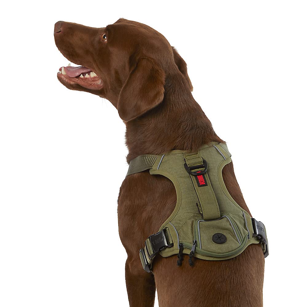 KONG Ultra Durable Dog Waste Bag Holder - Medium Size, Green - Perfect for Walking, Hiking & Outdoor Adventures with Your Pet