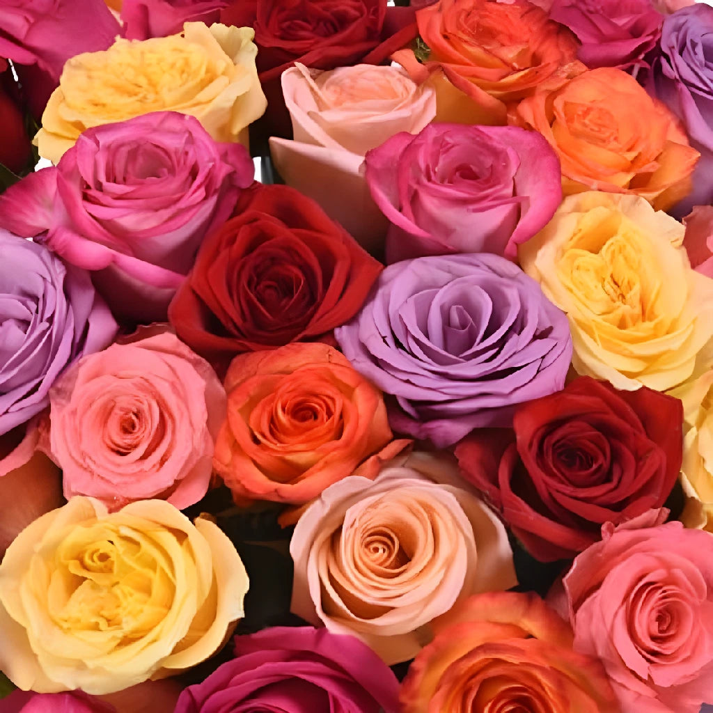 Fresh Assorted Roses Gift Bouquet - Perfect for Anniversary, Valentine's Day & Romantic Surprises