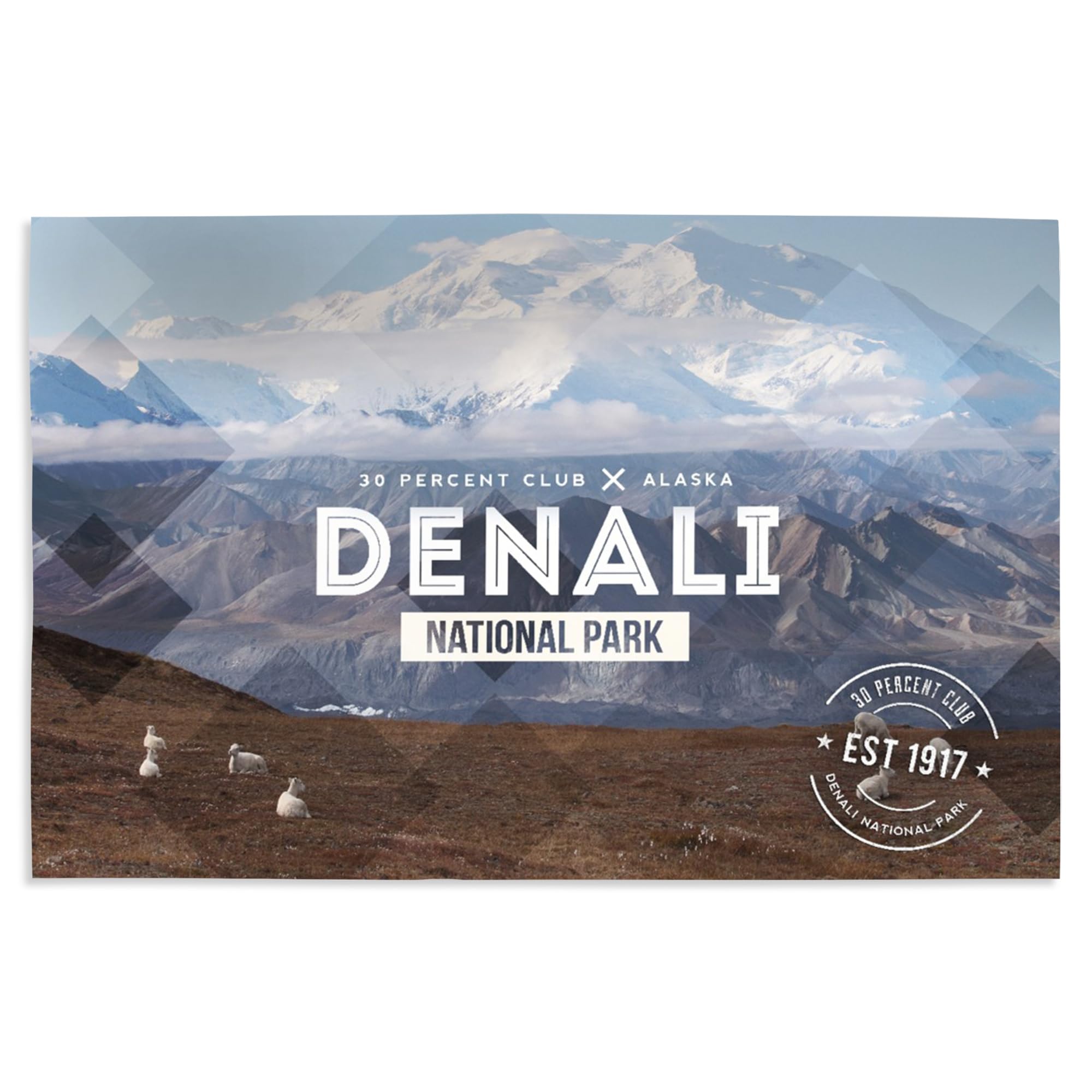 Lantern Press 16x24 Inch Giclee Art Print - Denali National Park Alaska Landscape Wall Decor - Premium Canvas for Home Office Living Room Decoration