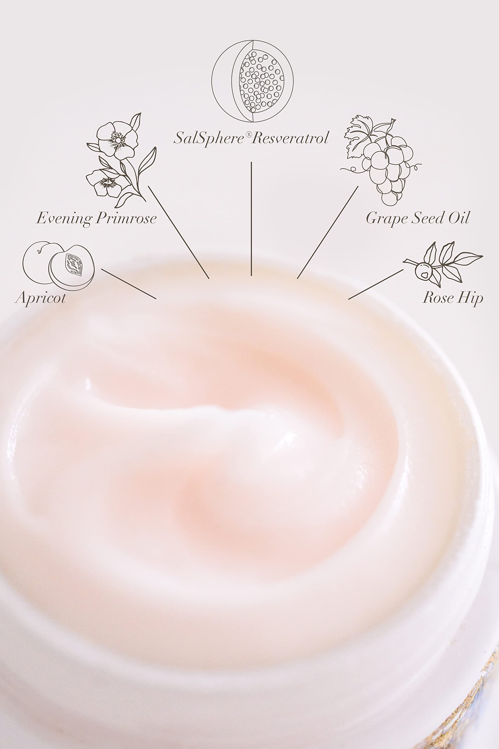 Moisture Rose Cuvée - Hydrating Facial Serum with Rose Extract for Dry & Sensitive Skin | Day & Night Skincare Routine | Perfect for Anti-Aging & Glowing Complexion