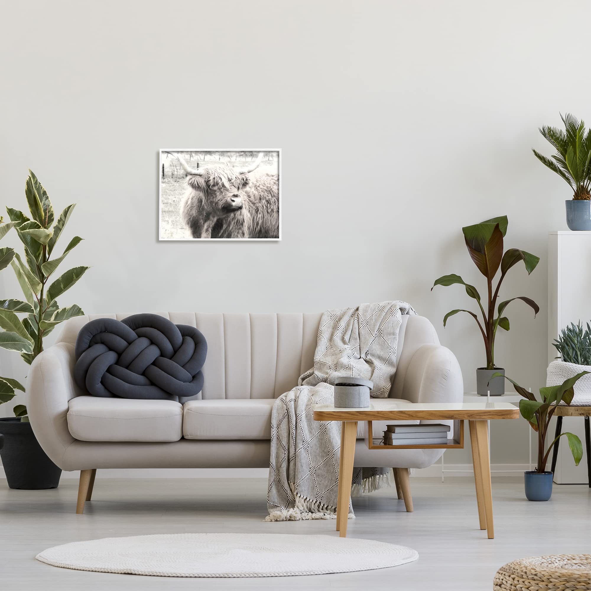 Stupell Industries Rustic Farm Highland Cattle Cow Black & White Wall Art - Monochrome Photography Print by Graffitee Studios - Perfect for Farmhouse, Country Kitchen & Western Home Decor