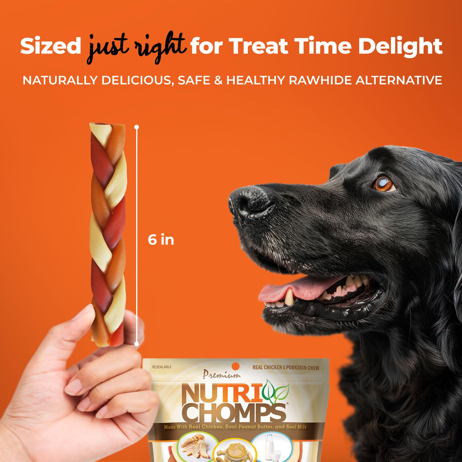 NutriChomps Healthy Dog Chews - 6-inch Braided Rawhide-Free Treats with Real Chicken, Peanut Butter & Milk Flavors (10 Count) | Easy to Digest Dental Chews for Medium & Large Dogs | Perfect for Training, Teething & Oral Care