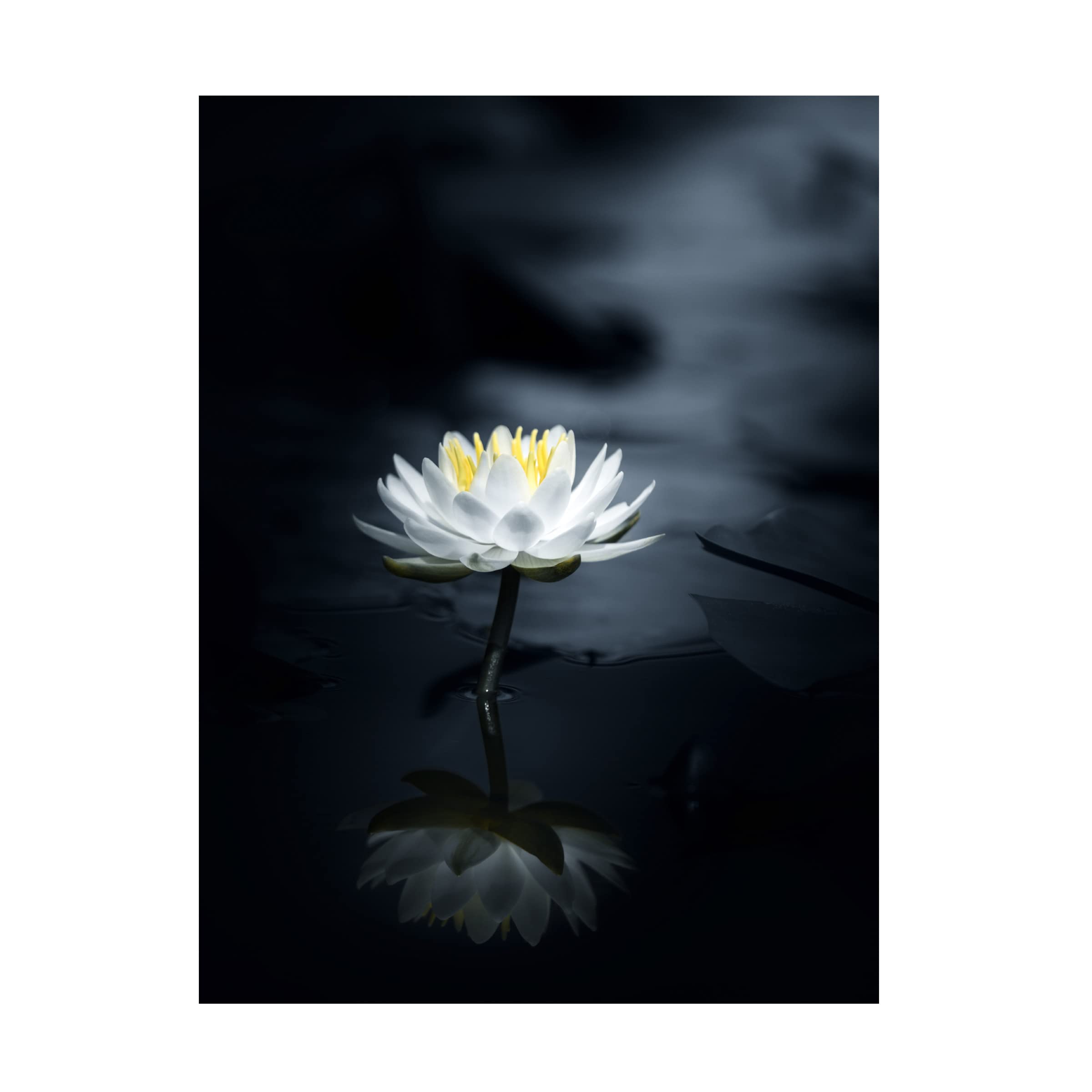 Reflection 3 Canvas Wall Art by Takashi Suzuki - Modern Abstract Painting for Living Room, Bedroom & Office Decor