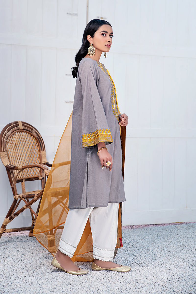 Elegant Amber Gray 2-Piece Set (Shirt & Dupatta) for Women - Perfect for Weddings, Parties & Festive Occasions