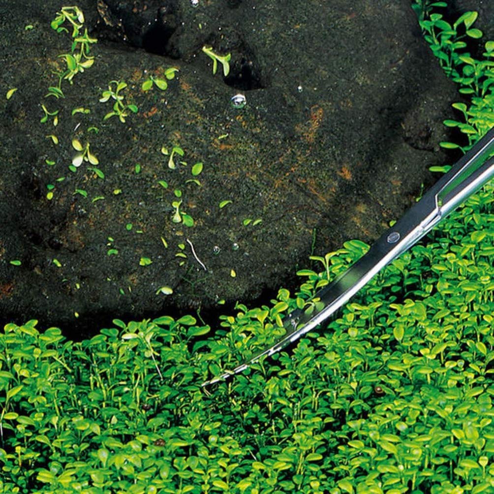 UEETEK 25 Inch Stainless Steel Fish Tank Plant Tongs with Curved Tip for Aquarium Plants - Perfect for Aquascaping, Planting & Trimming in Freshwater or Saltwater Tanks