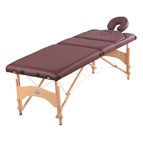 3B Scientific 1021430 Portable Massage Table with Liftback - Adjustable Height, Durable & Lightweight for Professional Therapists - Perfect for Home, Spa, and Clinic Use