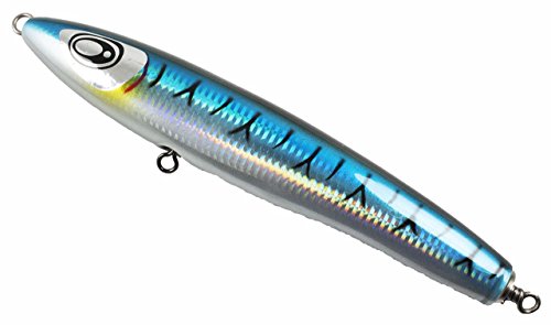 Mackerel