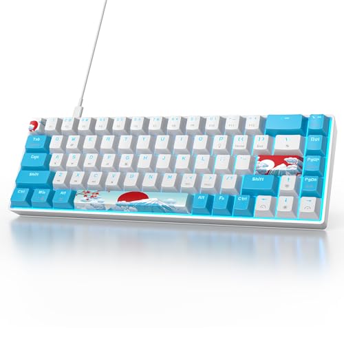 Blue/Blue Switch
