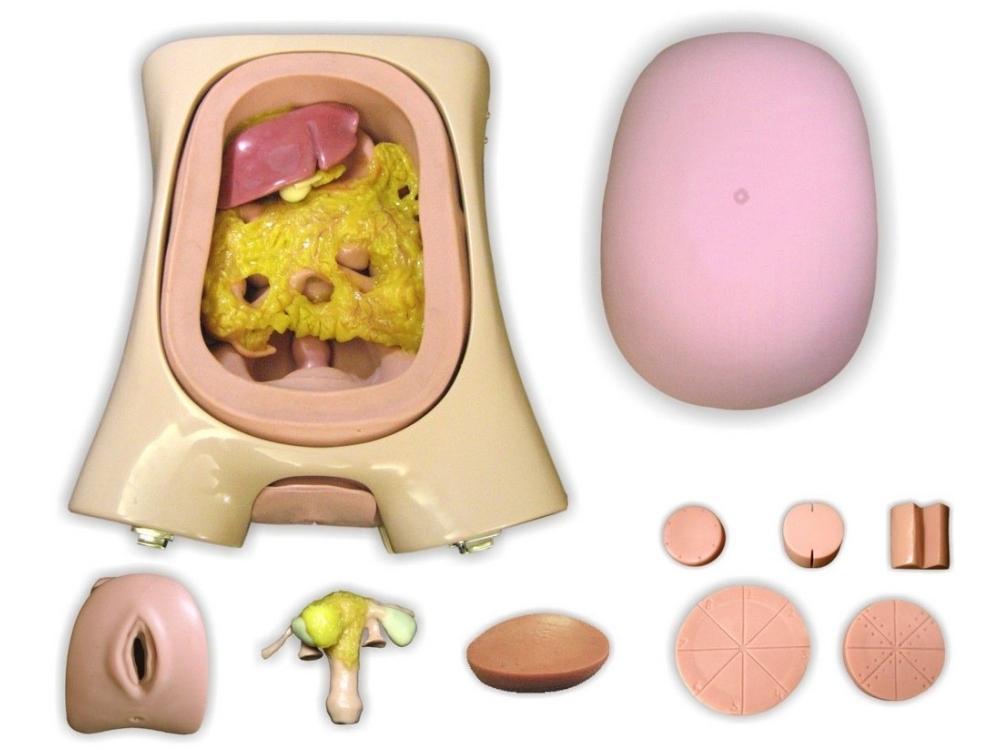 EndoSurgical Laparoscopic Surgery Simulator - Professional Medical Training Equipment for Surgeons | Practice Minimally Invasive Techniques | Ideal for Medical Schools & Residency Programs