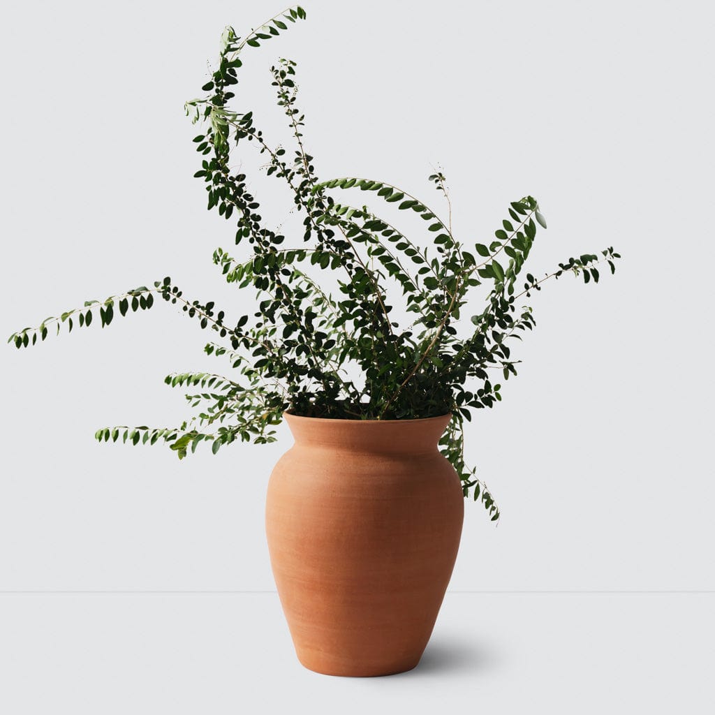 Lafayette Planter - Modern Decorative Flower Pot for Indoor & Outdoor Plants | Perfect for Home, Garden, Patio, and Office Decor
