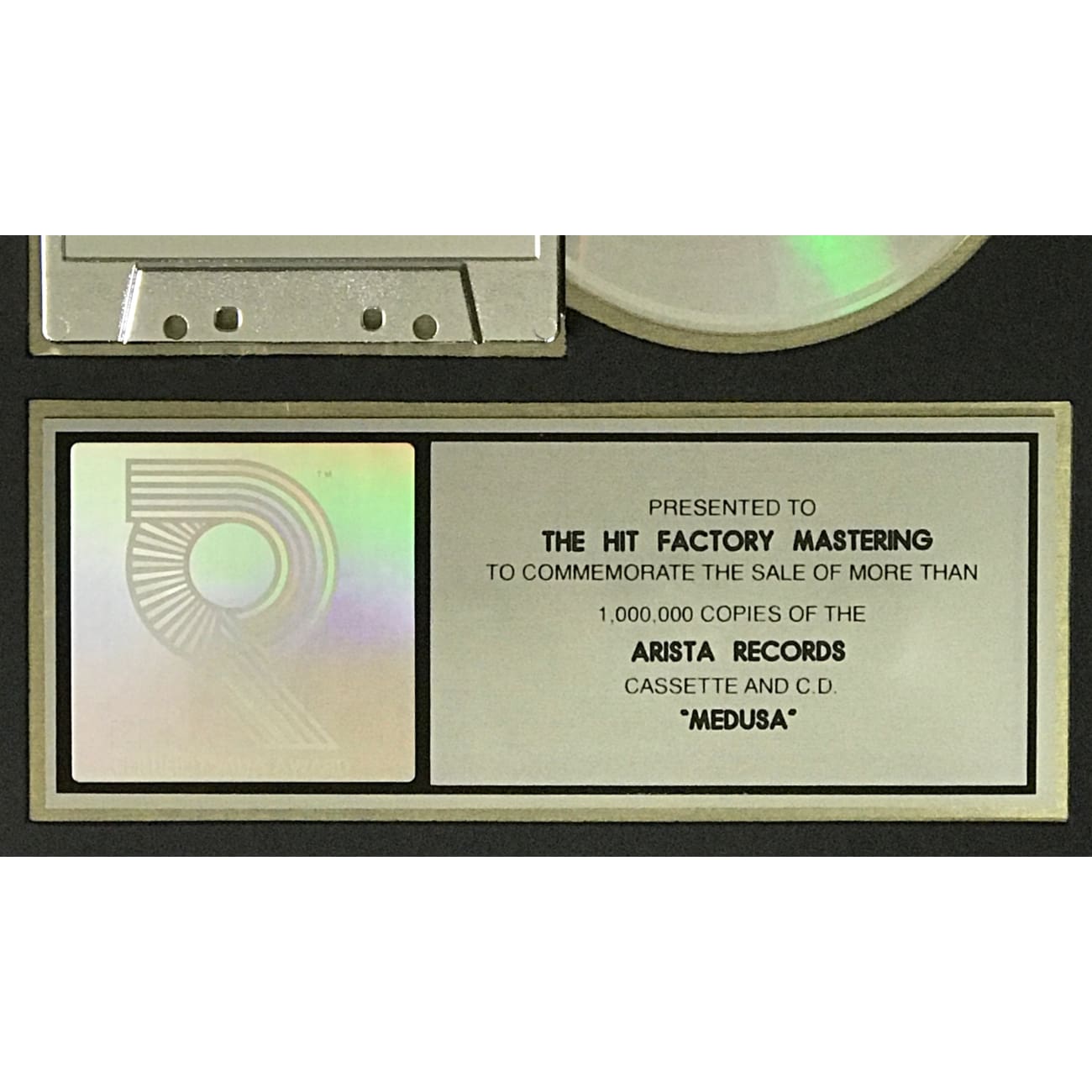 Annie Lennox Medusa RIAA Platinum Album Award - Certified Music Collectible for Fans & Display