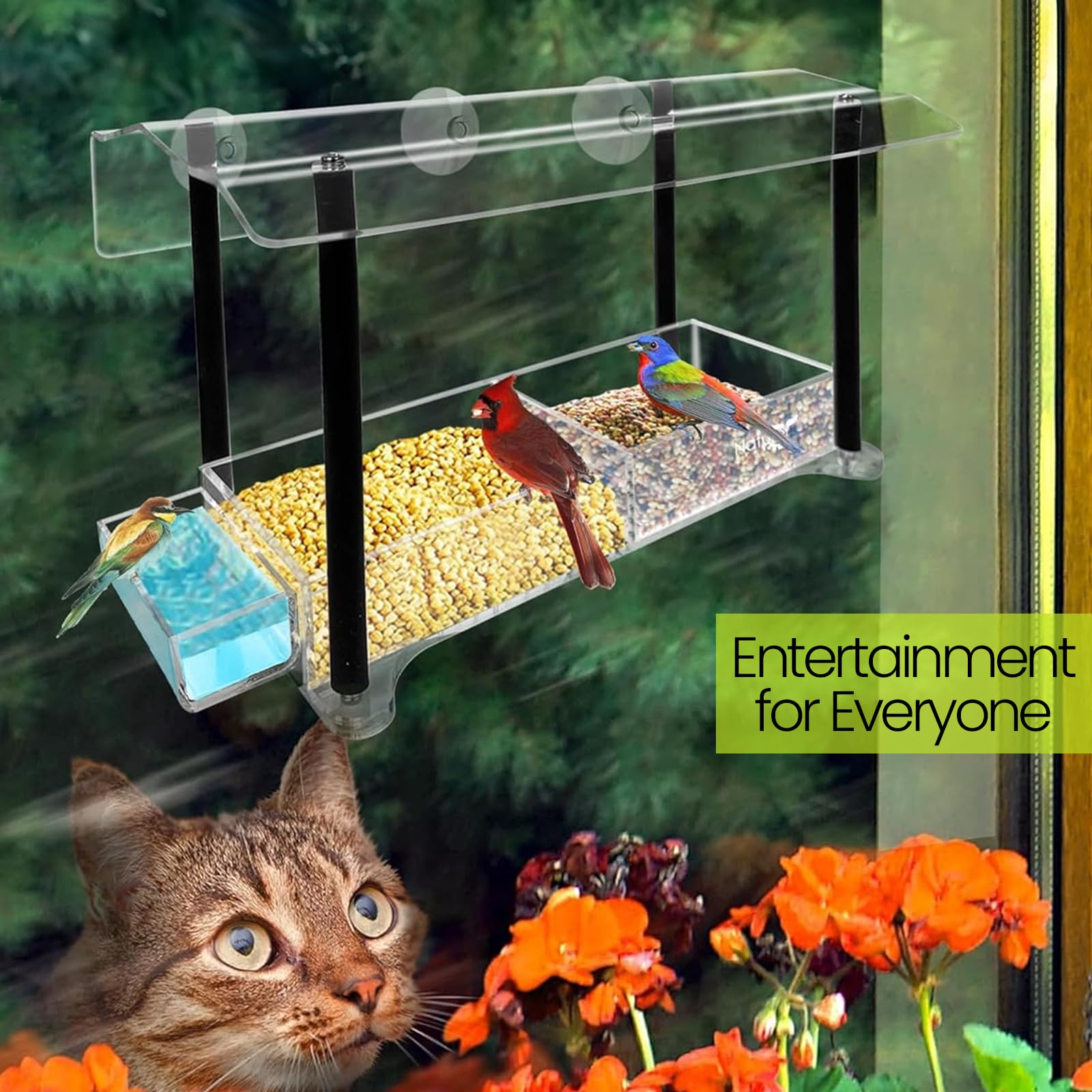 Nature Gear Clear Acrylic Window Bird Feeder with Sliding Tray - Weather Resistant, Easy to Clean, Strong Suction Cups for Secure Mounting - Perfect for Bird Watching at Home, Office or Classroom