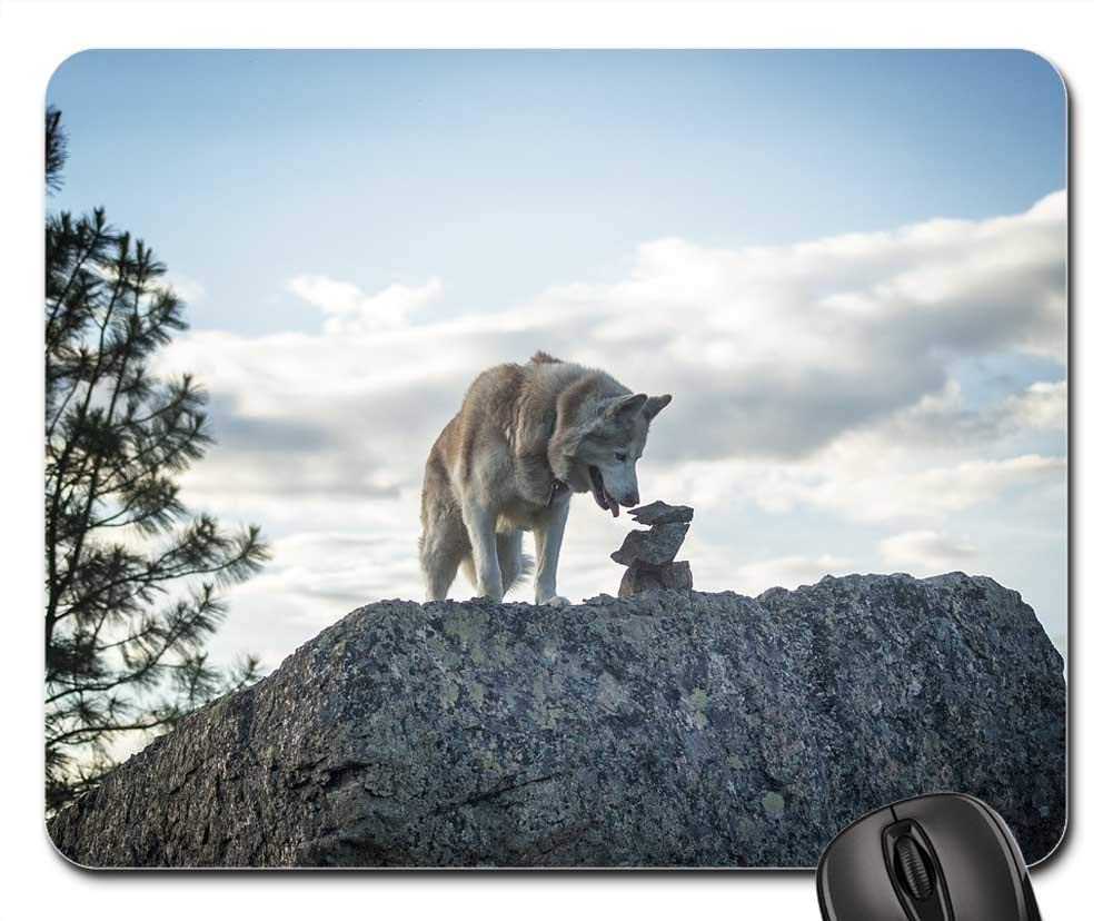 Premium Gaming Mouse Pad with Non-Slip Base - Cute Siberian Husky Dog Design for PC & Laptop Gamers - Perfect for Esports, Office Work & Home Computer Setup