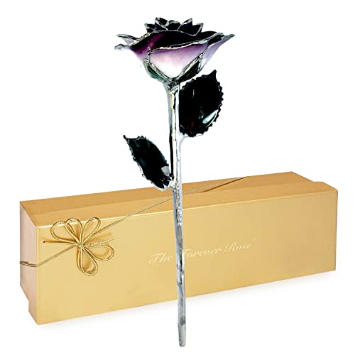 Purple Rose