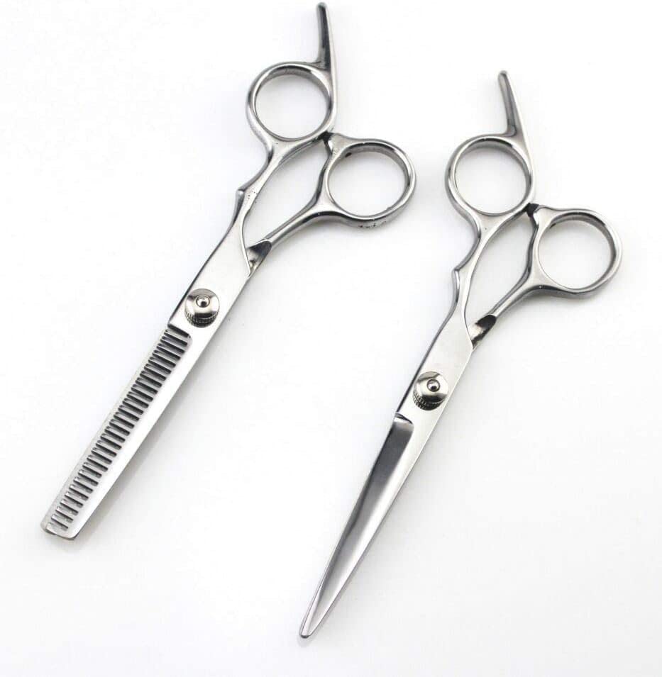 6 Inch Professional Hairdressing Scissors Set - Sharp Stainless Steel Barber Shears for Precision Hair Cutting - Silver (Great for Salon, Home Haircuts & Styling)