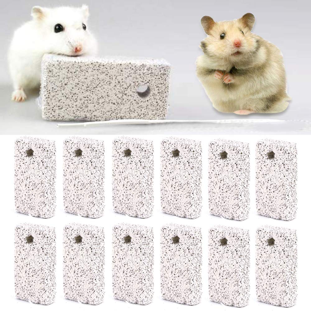 20 Pcs Small Animal Chew Toys - Natural Lava Bites for Hamsters, Parrots, Chinchillas & Rabbits | Teeth Grinding Mineral Calcium Stone | Perfect for Cage Enrichment & Dental Health