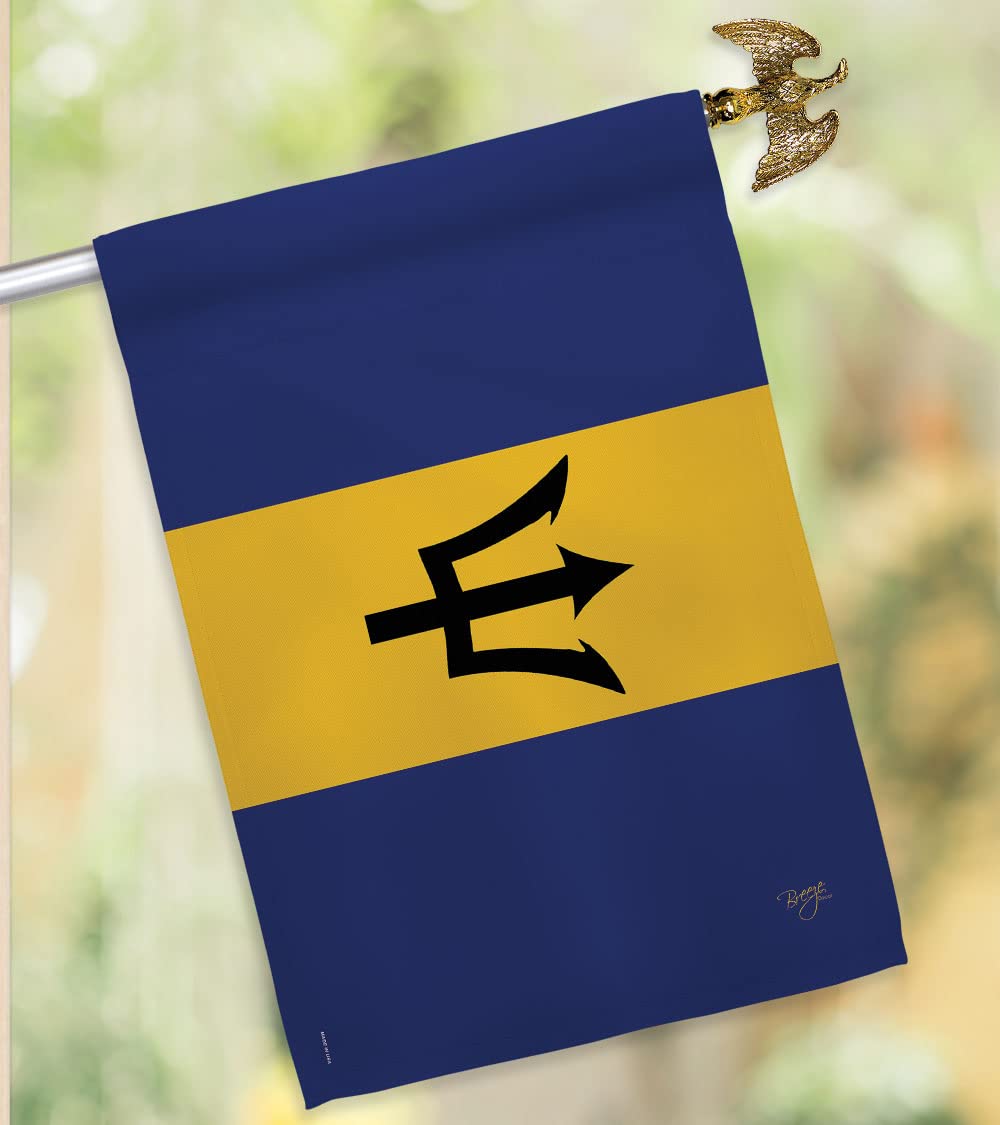 Barbados National Flag 28
