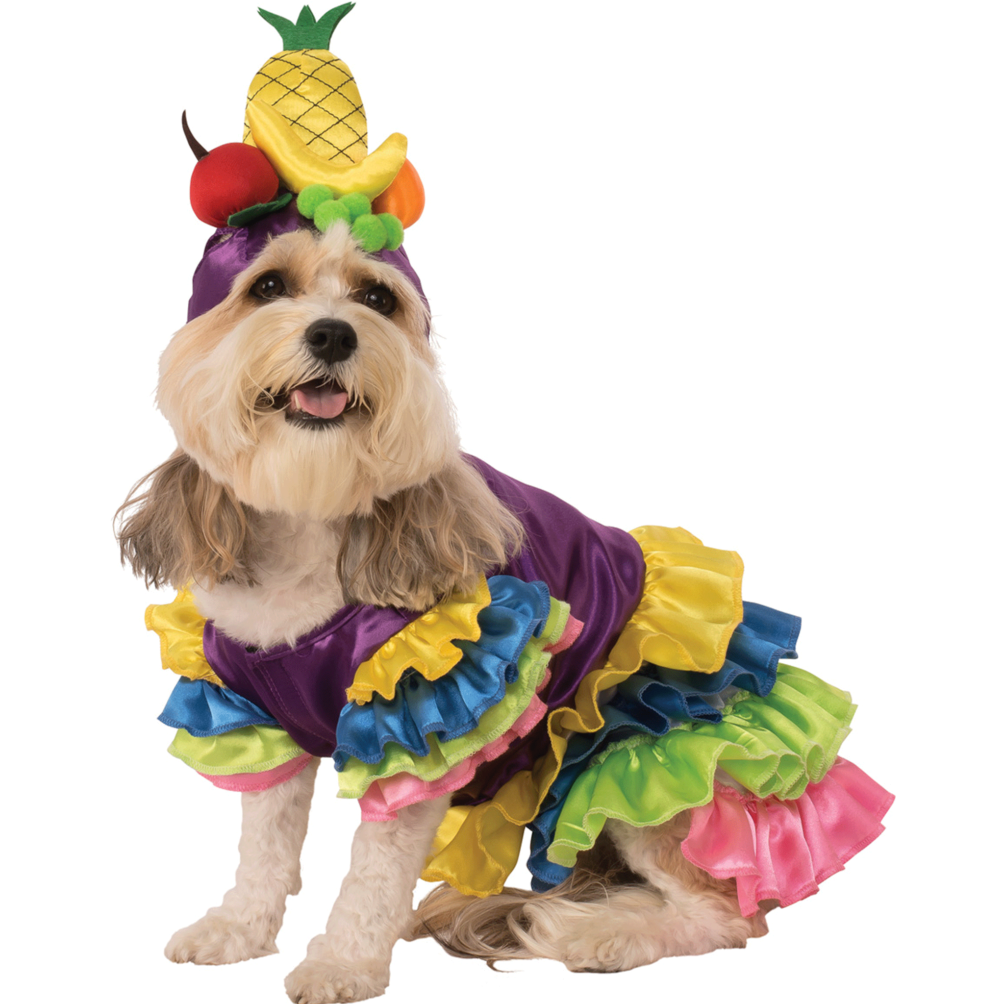 Rubie's Pet Shop Boutique Dog Brazilian Bombshell Halloween Costume - Fun & Festive Pet Costume for Halloween Parties, Dress-Up & Photo Shoots
