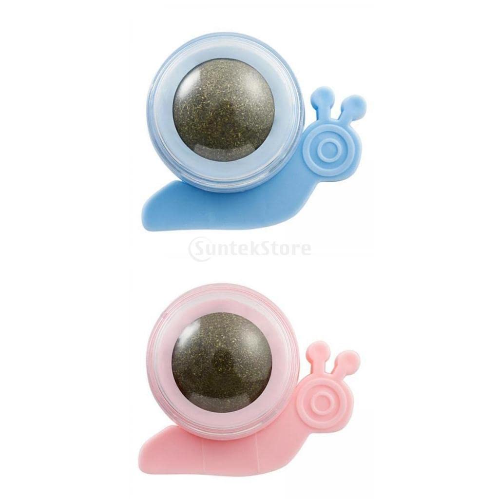 Baoblaze 2-Pack Catnip Ball Toys for Cats - Dental Chew Toys to Clean Teeth, Interactive Play & Stress Relief - Perfect for Indoor Play, Training & Bonding with Your Kitten