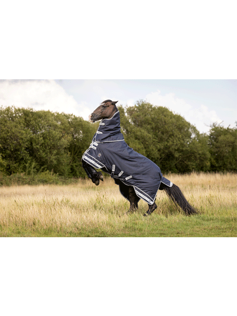 Arika Storm Tek Rug 350g Waterproof Turnout Blanket for Horses - Ideal for Cold Weather Riding and Stable Use
