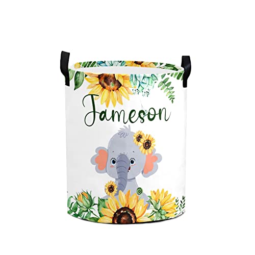 Baby elephant 01