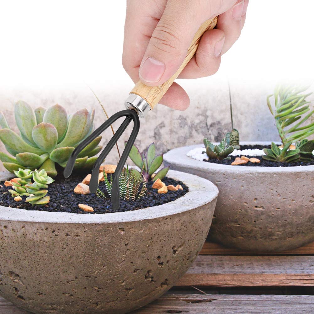 3pcs Mini Gardening Tools Set - Hand Shovel, Transplant Shovel & Cultivator Rake for Indoor/Outdoor Plants - Perfect for Flowers, Succulents & Small Space Gardening | Durable Stainless Steel Garden Tool Kit for Home Gardeners & Plant Lovers
