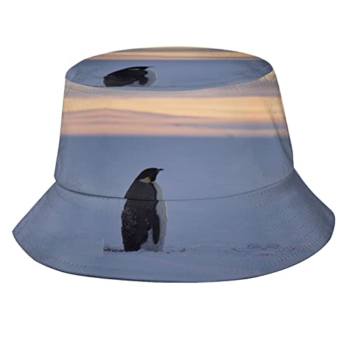 Penguin 06