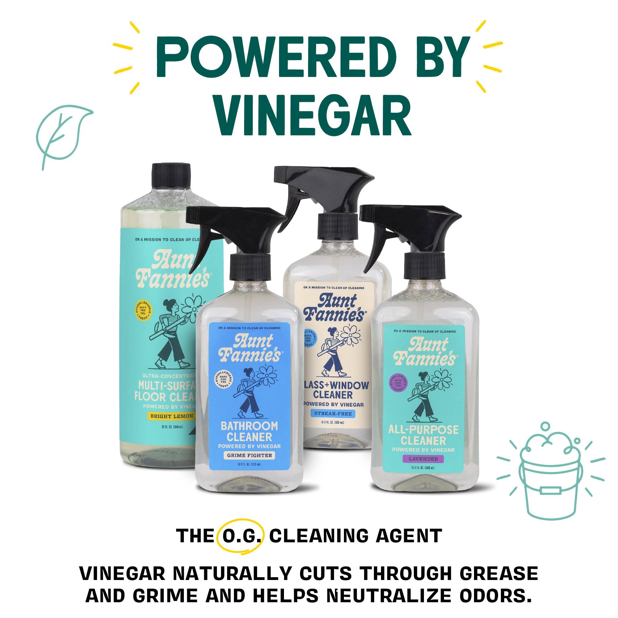 Aunt Fannie's Eucalyptus Vinegar Cleaning Kit - Spray & Wipes for Home Cleaning