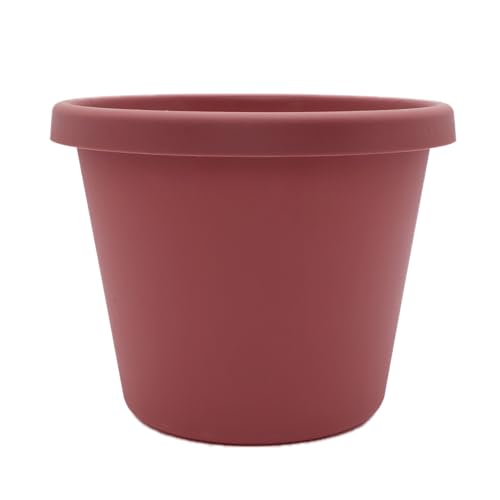 Marsala