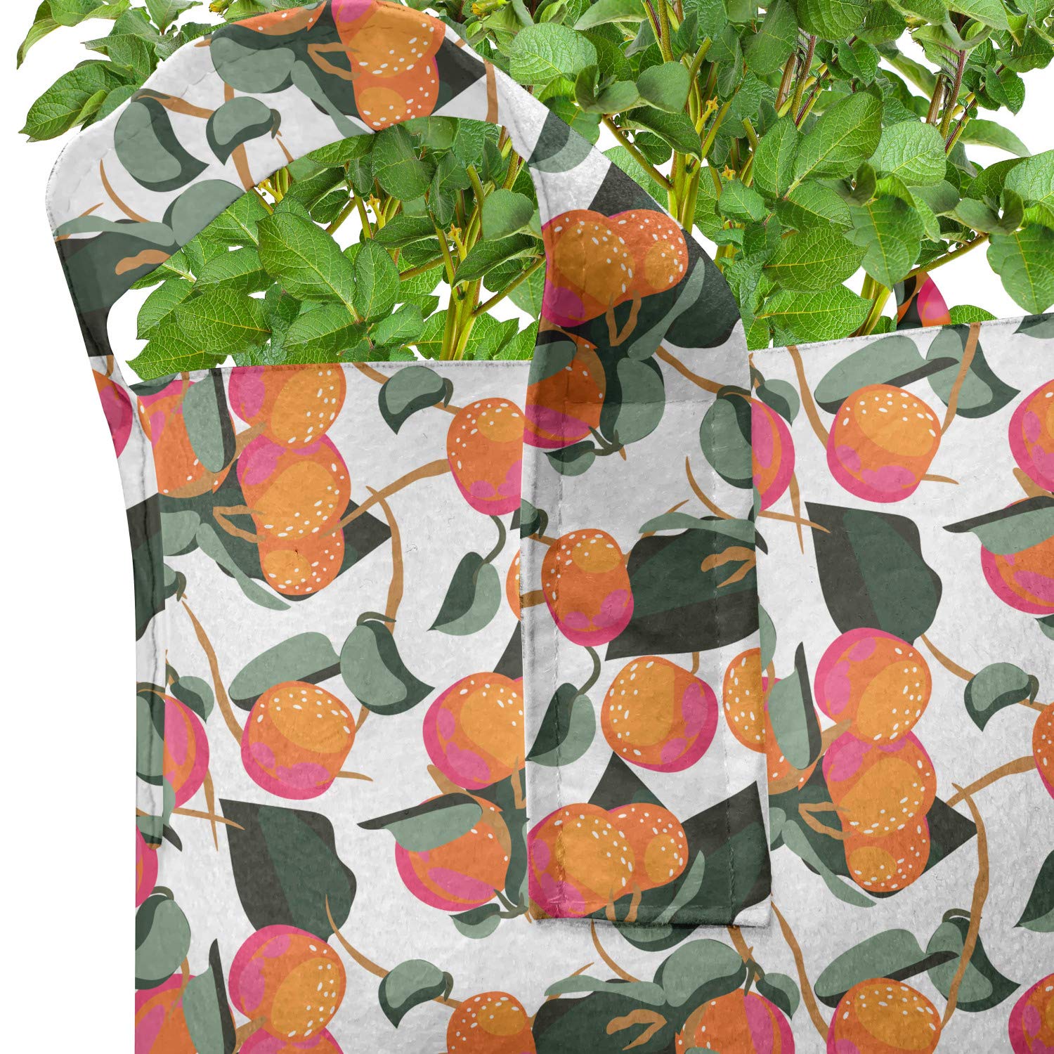 Ambesonne 5-Pack Heavy Duty Fabric Grow Bags with Handles - Citrus Mandarin with Leaves Design, Durable Plant Pots for Fruits, Vegetables & Herbs - Perfect for Indoor Gardening, Balcony Planting & Urban Farming