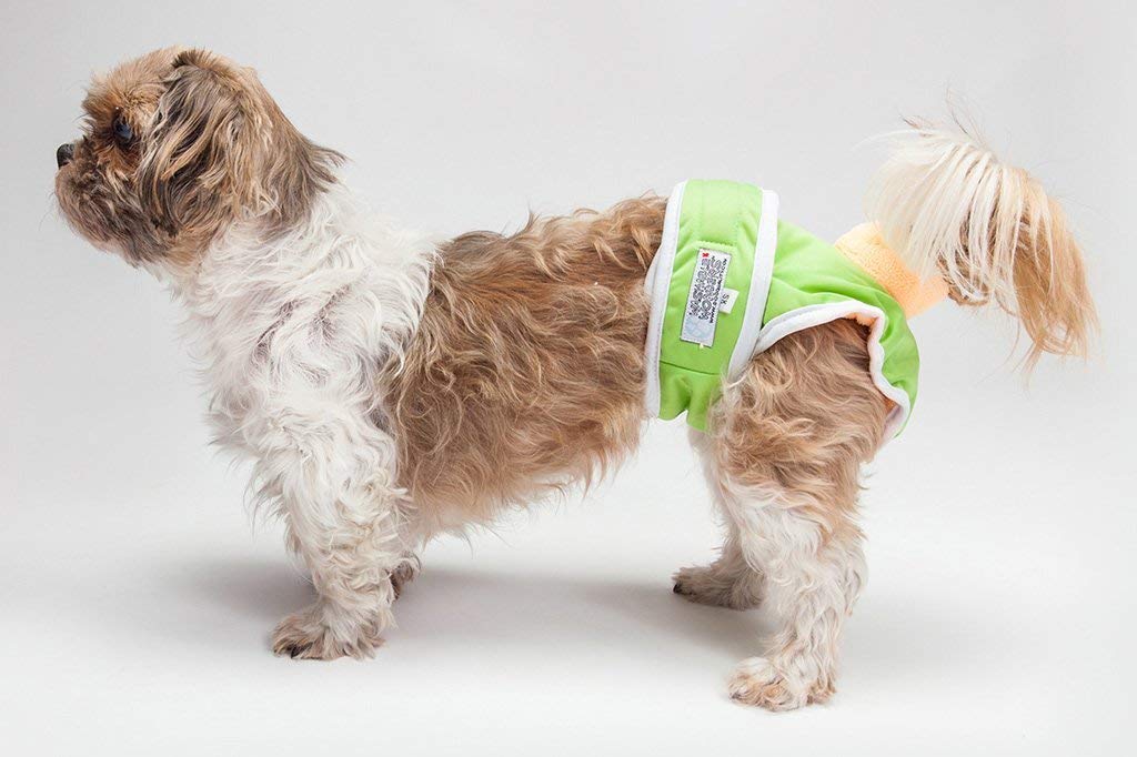 Washable Reusable Female Dog Diapers - Premium Absorbent Pet Panties for Small Dogs (XXS, Green) | Perfect for Incontinence, Heat Cycles & House Training
