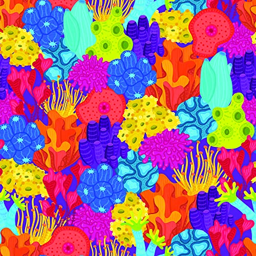 Coral Reef Sea