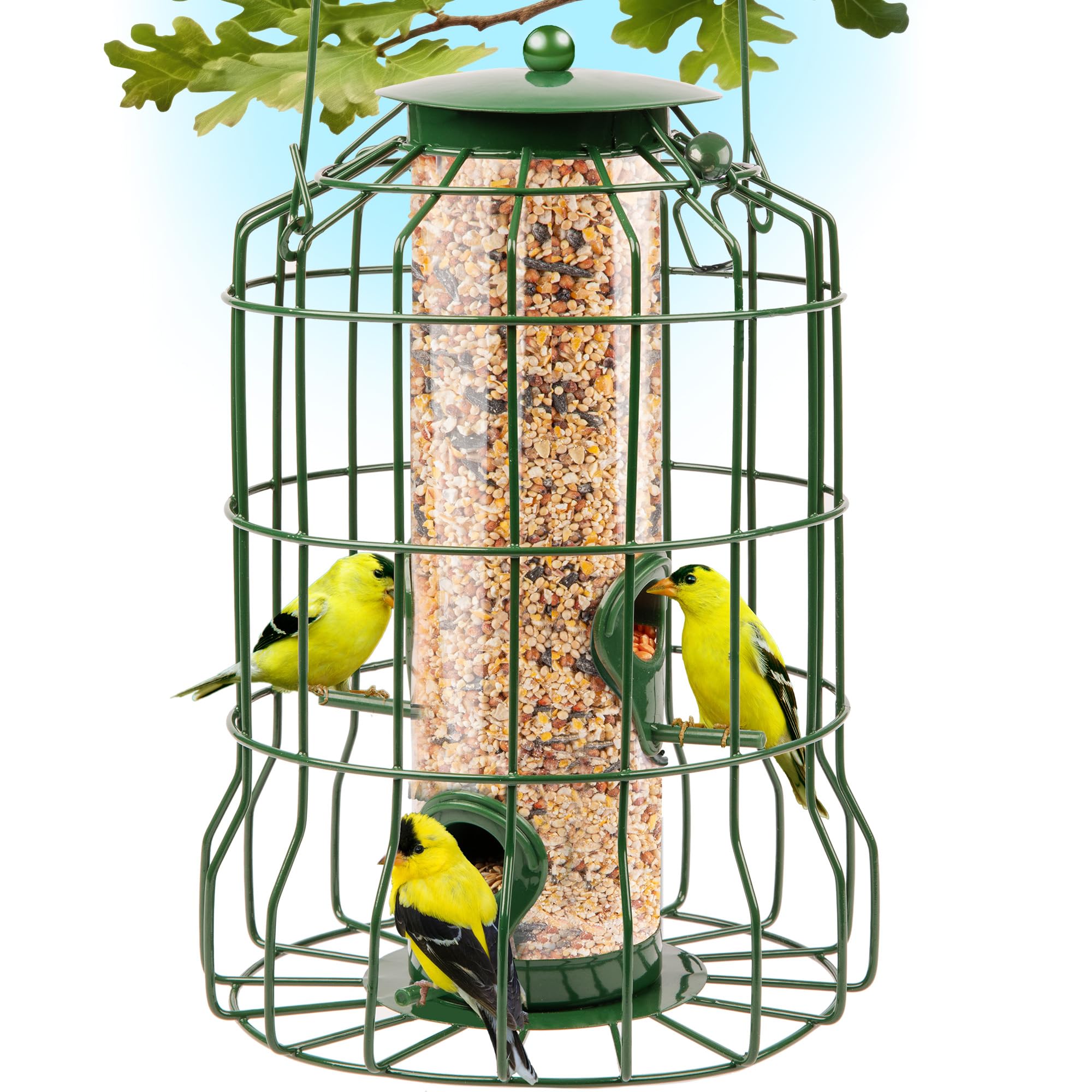 Squirrel Proof Wild Steel Bird Feeder - 1.25 lb Capacity Hanging Outdoor Bird Feeder for Small Birds, Chew & Rust Resistant, 4-Port - Perfect for Garden, Patio, and Backyard Bird Watching