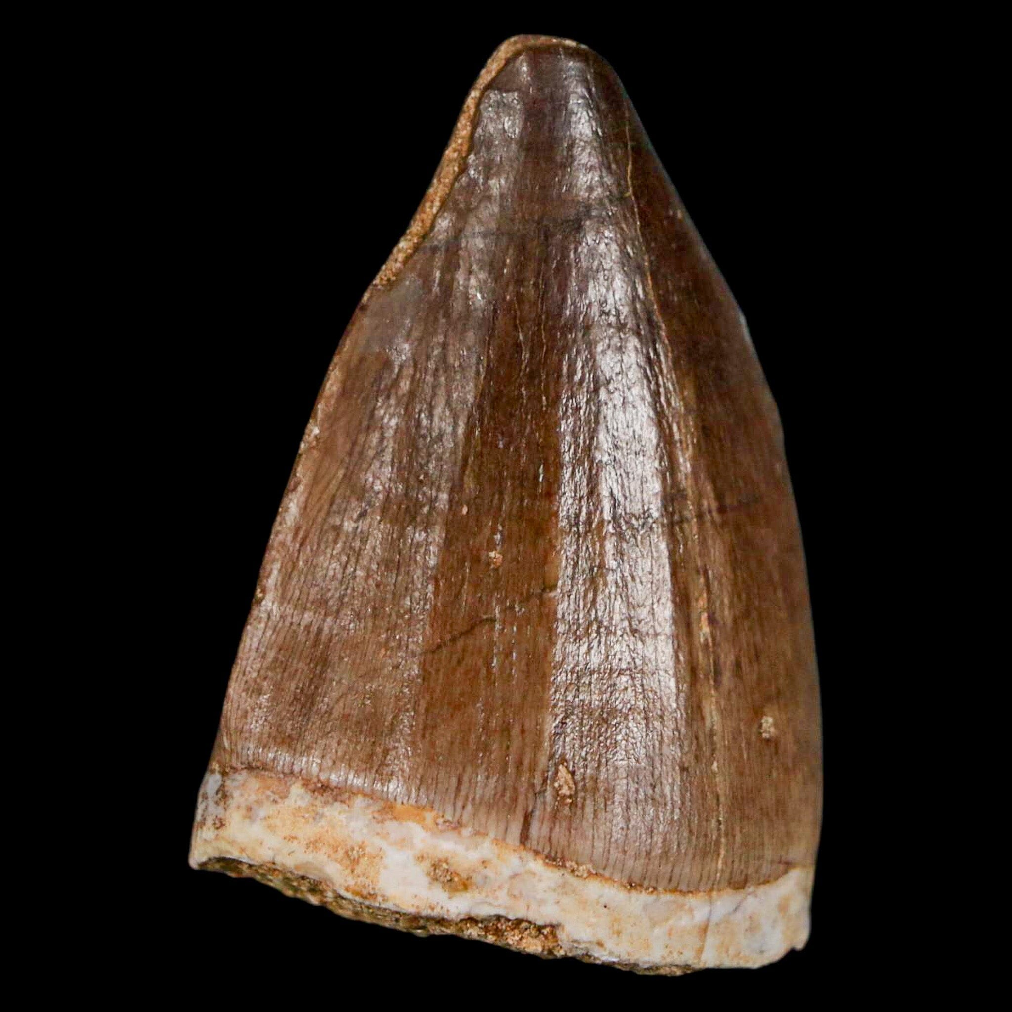 1.5