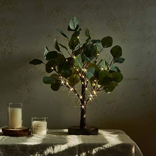 Eucalyptus
