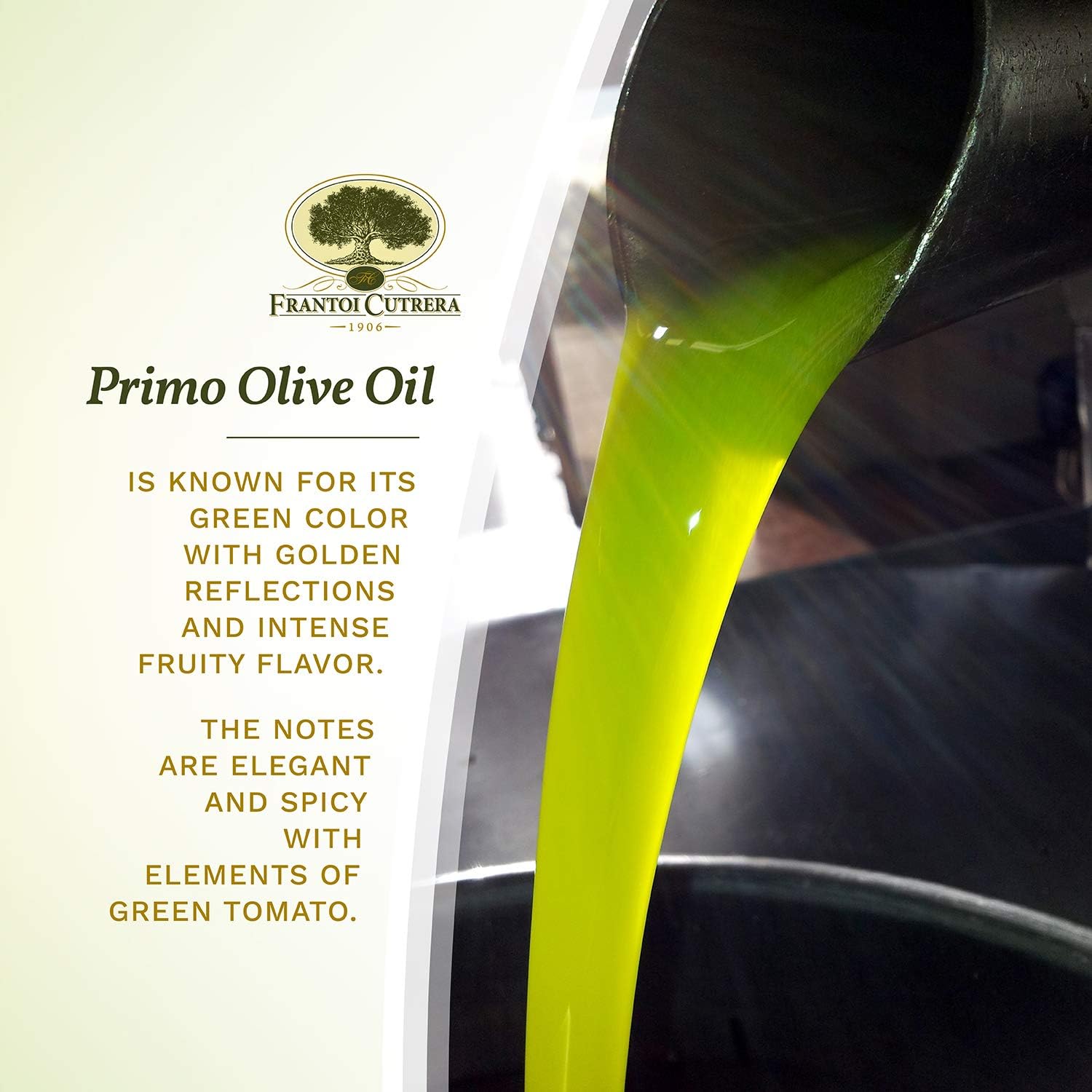 Premium Cold Extracted Sicilian Extra Virgin Olive Oil - DOP Certified, High Polyphenol, Cold Pressed EVOO - Authentic Italian Import, 25.4 fl oz (Pack of 3) - Perfect for Salads, Dipping, Cooking & Gourmet Recipes