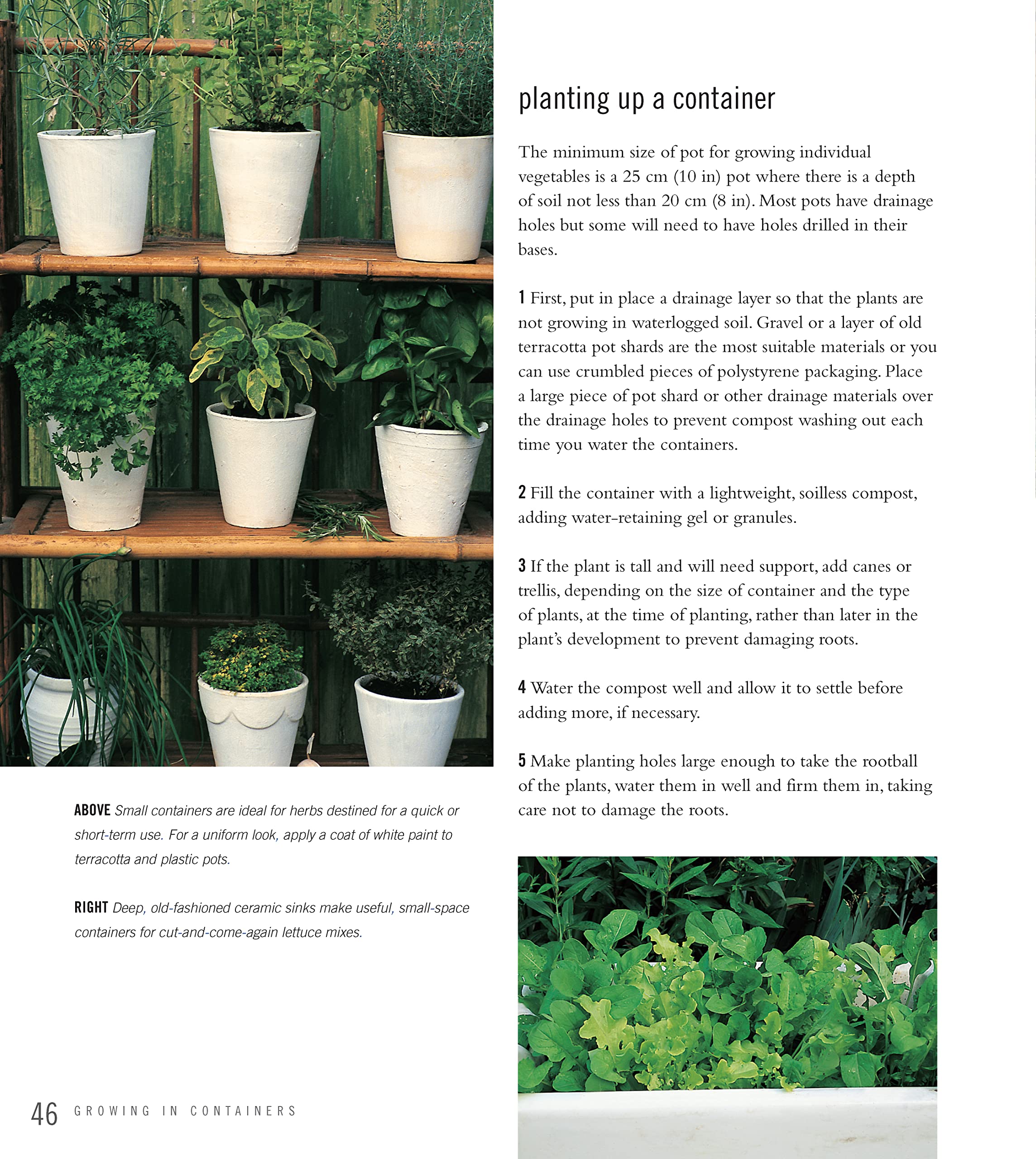 Best Vegetables & Herbs for Small Gardens - Easy to Grow at Home | Perfect for Urban Balconies & Patios