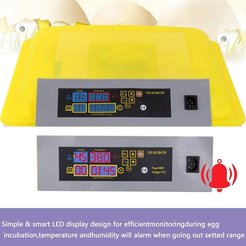 Automatic Egg Incubator for 112 Eggs - Digital Poultry Hatcher with LED Light for Chicken, Duck, Goose, Pigeon & Quail Eggs (110V) | Perfect for Home Farming, Backyard Poultry & Small Hatcheries